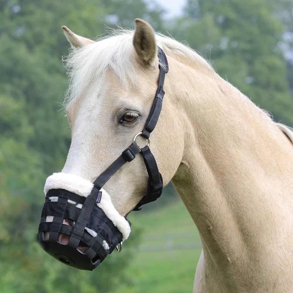 Shires Deluxe grazing muzzle