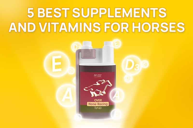 5 best supplements and vitamins for horses